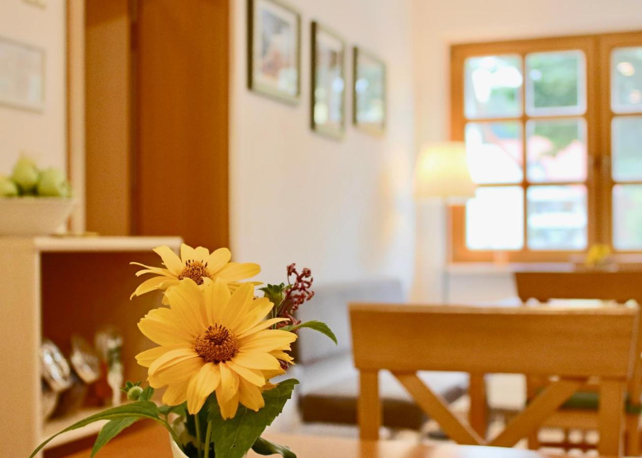 Pension Kurhausblick บาด ซูเดอโรเดอ ภายนอก รูปภาพ