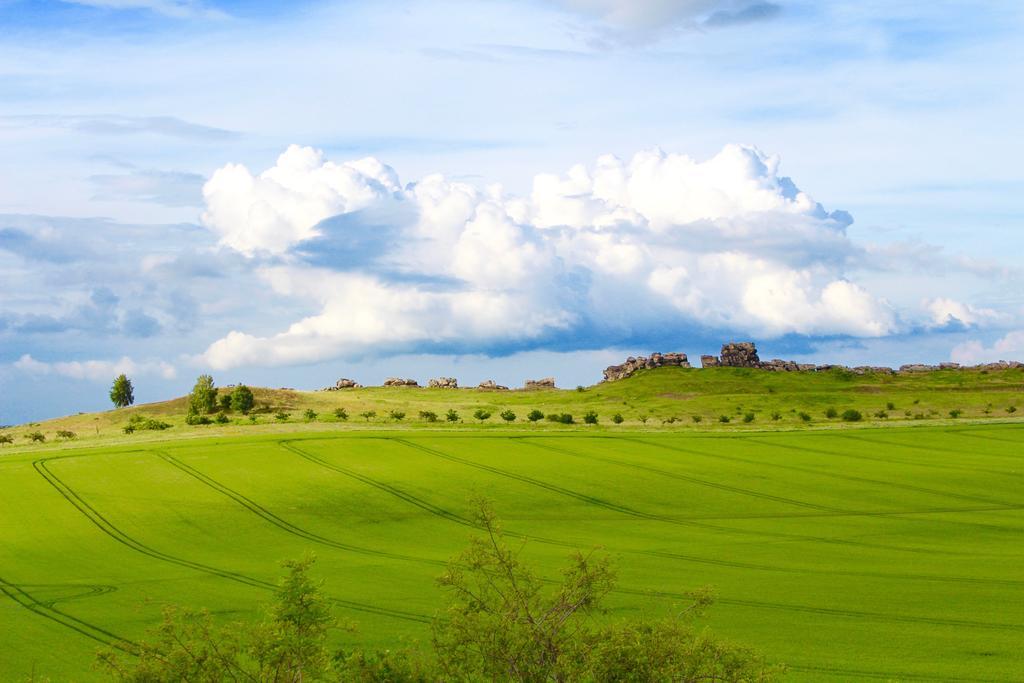 Pension Kurhausblick บาด ซูเดอโรเดอ ภายนอก รูปภาพ